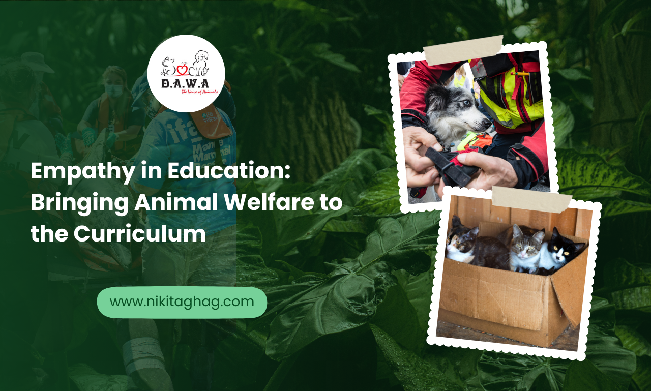 Empathy in Education: Bringing Animal Welfare to the Curriculum