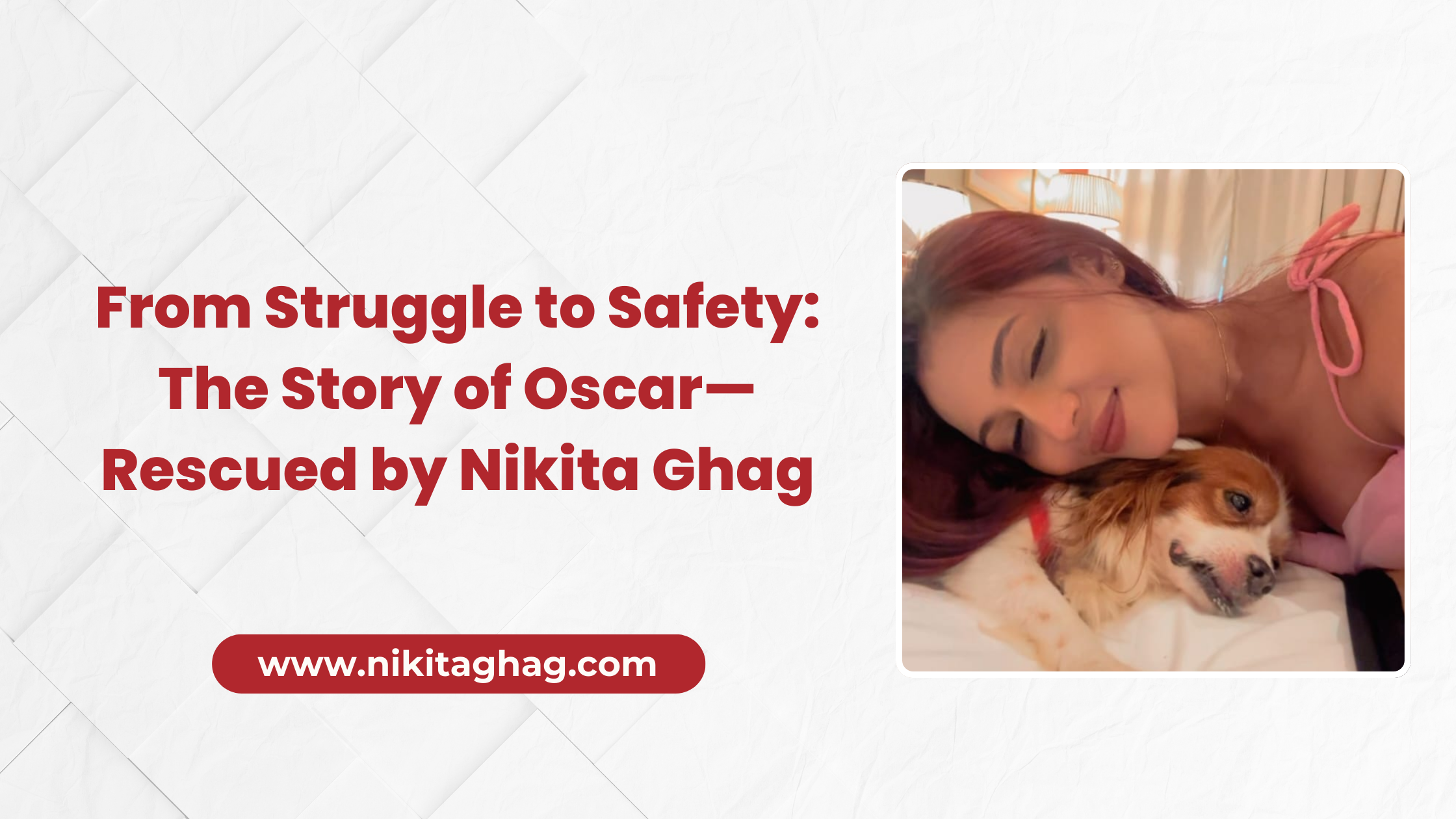From Struggle to Safety: The Story of Oscar—Rescued by Nikita Ghag