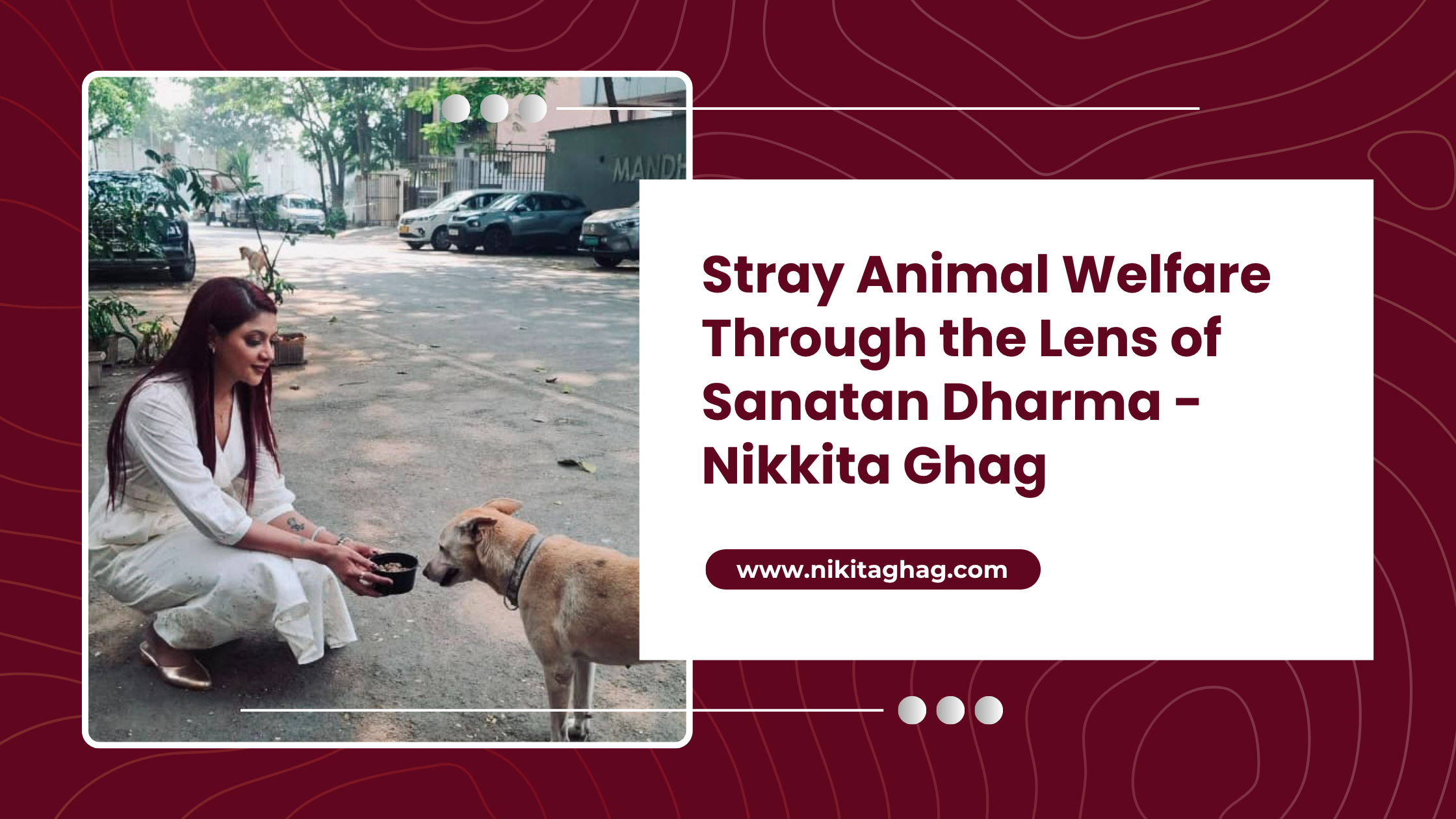 Stray Animal Welfare Through Sanatan Dharma | Nikkita Ghag